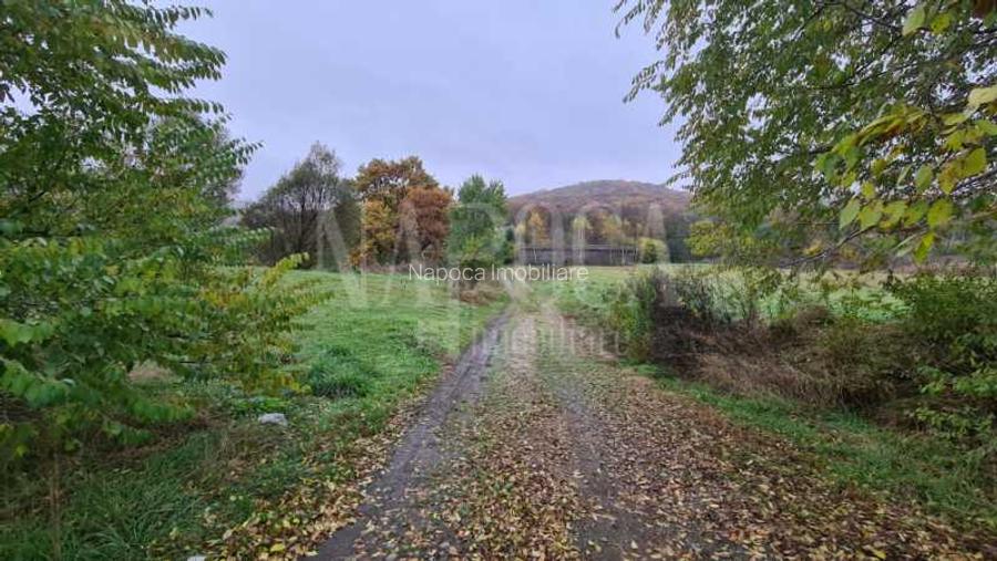 Teren intravilan industrial de vanzare in Gilau - 4