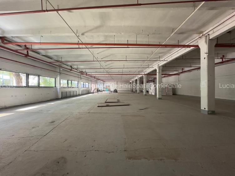 Spatii depozitare, restaurant, birouri, de la 400mp la 1600mp, zona C. Felicia - 11