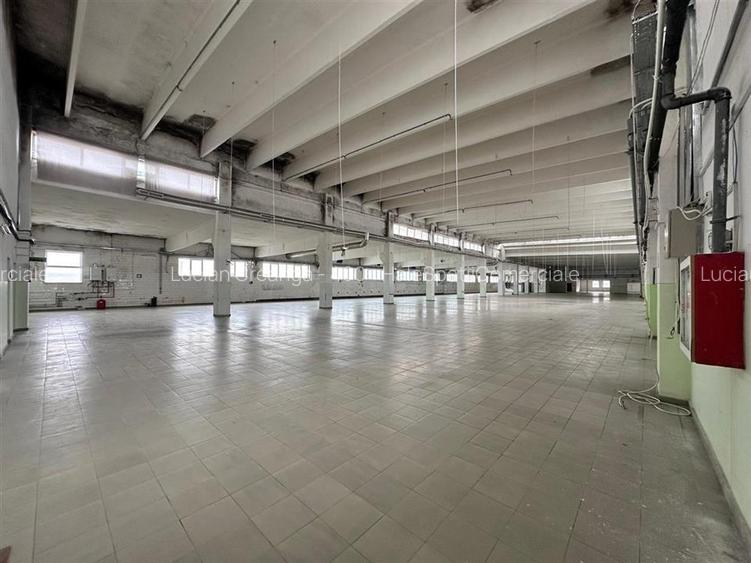 Hale/ spatii de inchiriat in jud. Iasi, Pascani, de la 500mp la 5000mp - 6