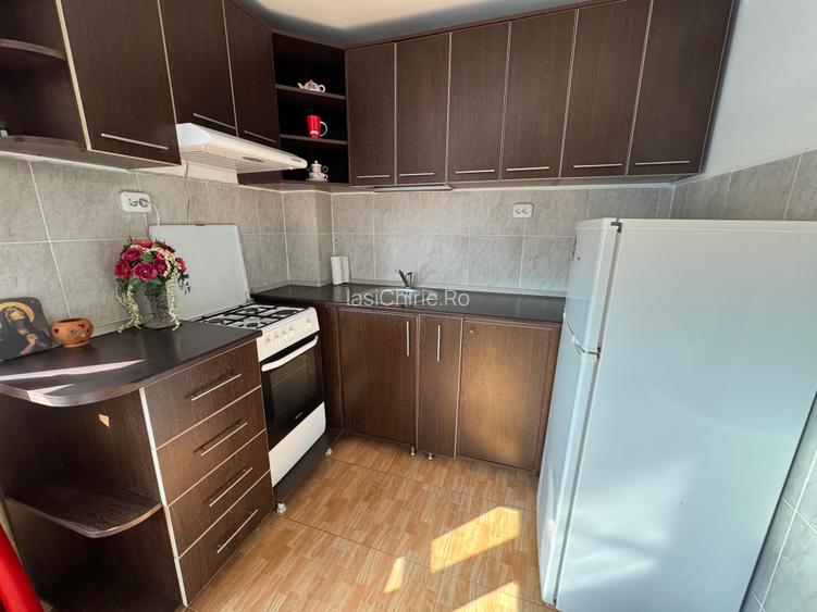 Apartament cu o camera Pod Piatra/Cantemir - 8