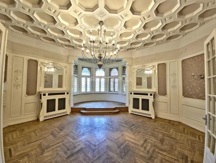 Vila cu arhitectura spectaculoasa Dacia - 2