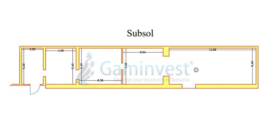 Spatiu comercial ultracentral de 315 mp,de inchiriat,Oradea,Bihor - 4