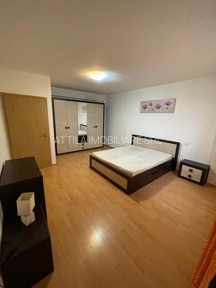 Dumbravita 2 camere 350 euro - 9