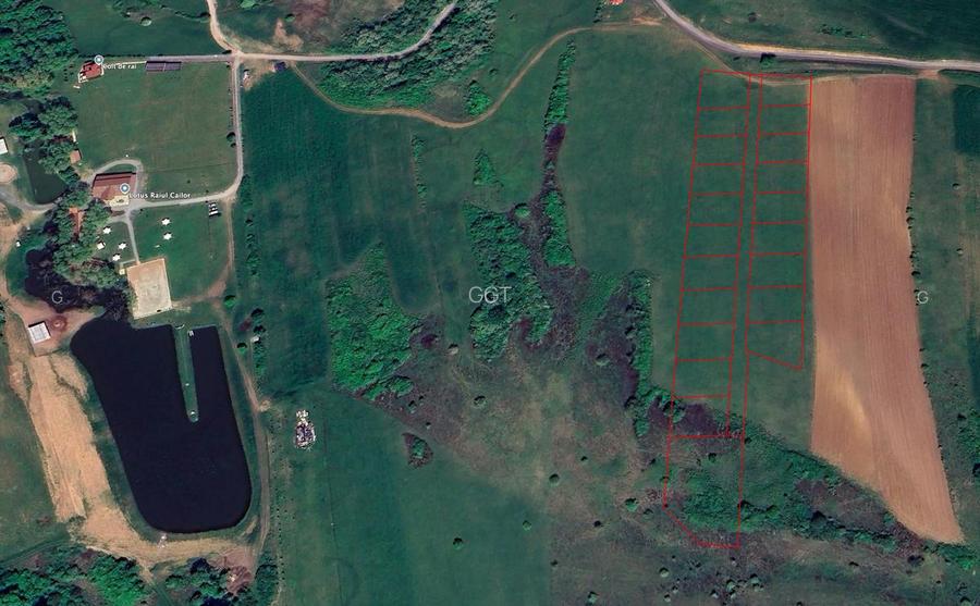 🏡 teren pentru cabane Sibiu, 1992 mp, Dealul Daii, direct de la proprietar - 2