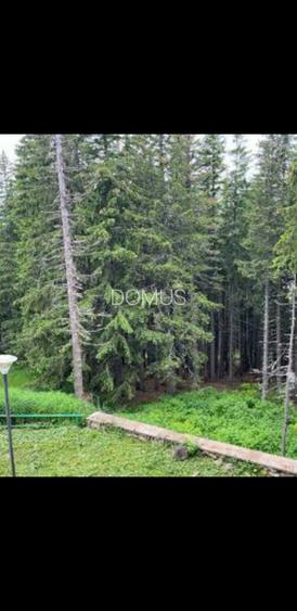 Investitie turistica de top! Fostul hotel OTTO-Perla statiunii RANCA - 4