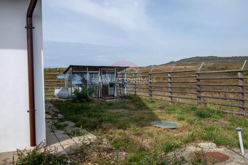 Ferma moderna de porci de vanzare in Curtuiusu Dejului - 21