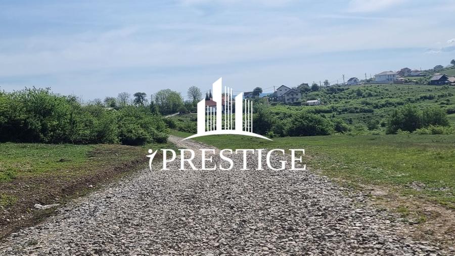 TEREN  EXTRAVILAN 2000 MP ÎN DAIA - BAVARIA | DEALUL 2 | DOAR 15€/MP - 17