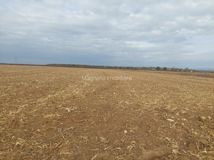 Teren dezvoltare rezidentiala / industriala, Dumbrava / Targoviste - comision 0% - 5