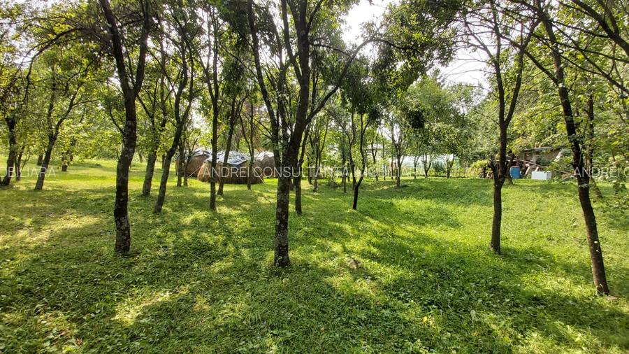 Oportunitate vanzare 6000 mp teren drept,superb toate utilitatile Breaza Prahova - 4