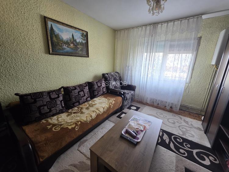 Vand camera de camin Electroprecizia - 3