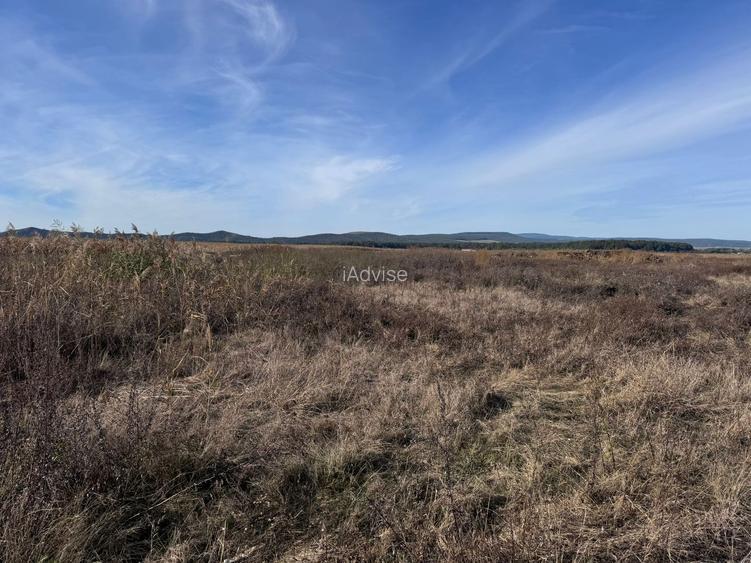 Teren de vanzare in Harman 4,4 Hectare - 12