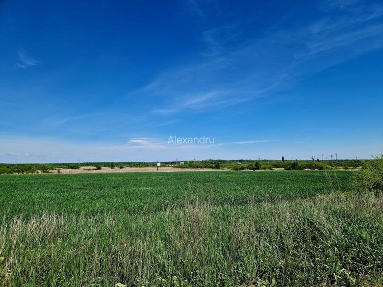 Teren intravilan 5000 mp, str.Sondei, Peris  - 3