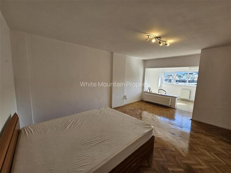 Apartament nemobilat cu priveliste Grivitei - 5
