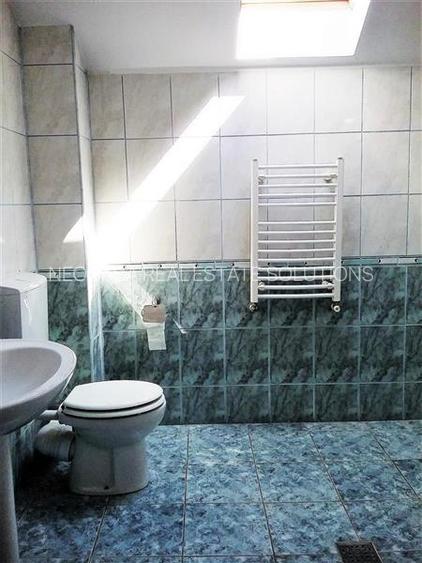 IANCU NICOLAE, S+P+1, 6 CAMERE, 410 MP, PISCINA, CURTE SUPERBA! - 18