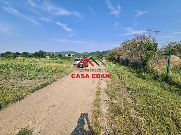 Teren intravilan in Campina, 7500mp--35e - 5