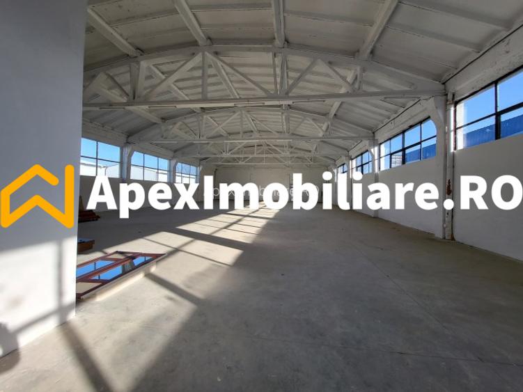 Hala Industriala Xenia – 1800 mp, Acces TIR, Parcare 50 Auto - 24
