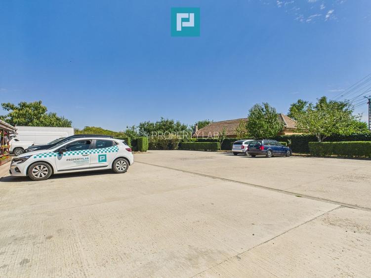 Pensiune la Orțișoara - 22