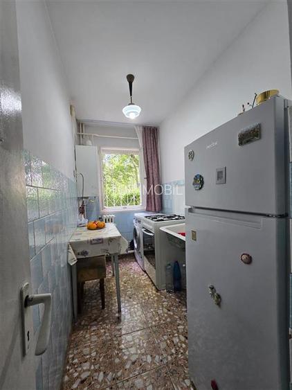 Alexandru - Parcul Voievozilor , 2 camere cu geam la baie, balcon inchis - 6