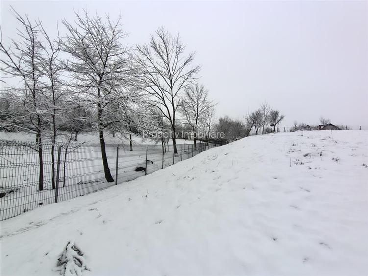 Teren intravilan | Mitocu Dragomirnei | T-7684 - 2