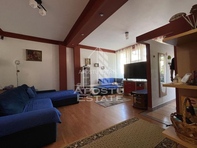 Casa Freidorf Timisoara - 3