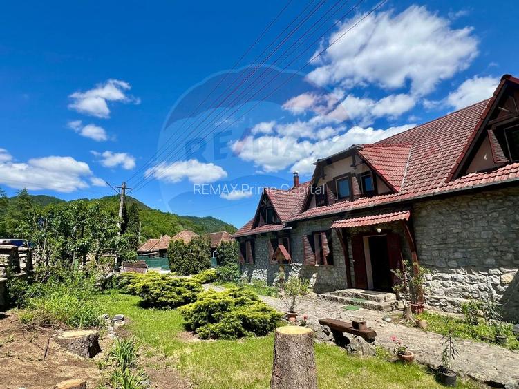 Pensiune cu 13 camere de vânzare in Bulz - 4