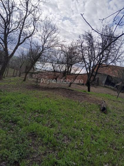 Casa Individuală 4 camere | 140 mp | Ghirbom, Com. Berghin | 1708 mp Teren - 7