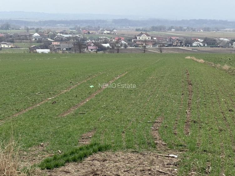 Teren intravilan | Grănicesti | 32 ARI - 4