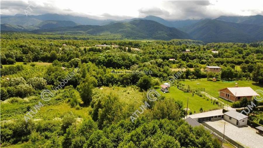Teren de vanzare pe Valea Avrigului Sibiu - 5