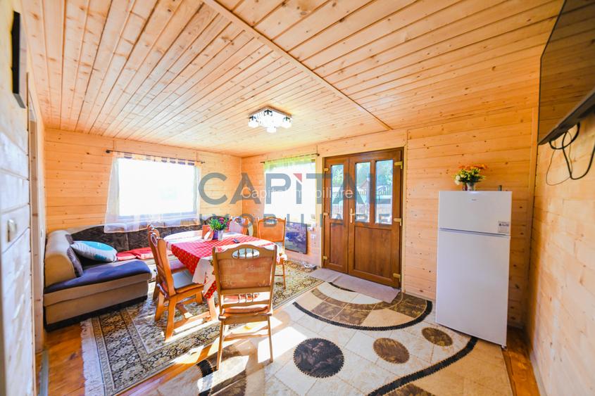 Casa cu teren de 3100 mp de vanzare in comuna Cornesti - 7