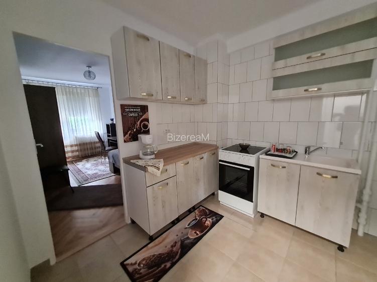 Apartament Modern Ultracentral  - - Modern Ultracentral Apartment Medicine Univ. - 2