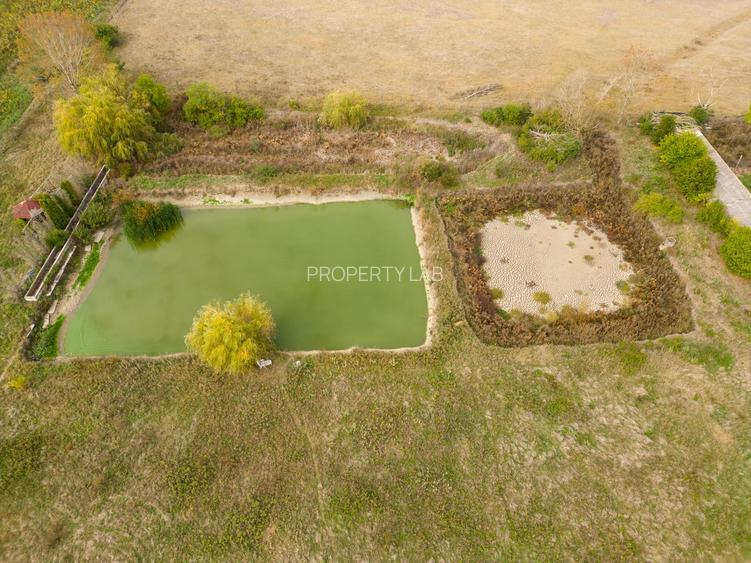 Teren 13.418 mp intravilan cu casă și 2 iazuri - 8