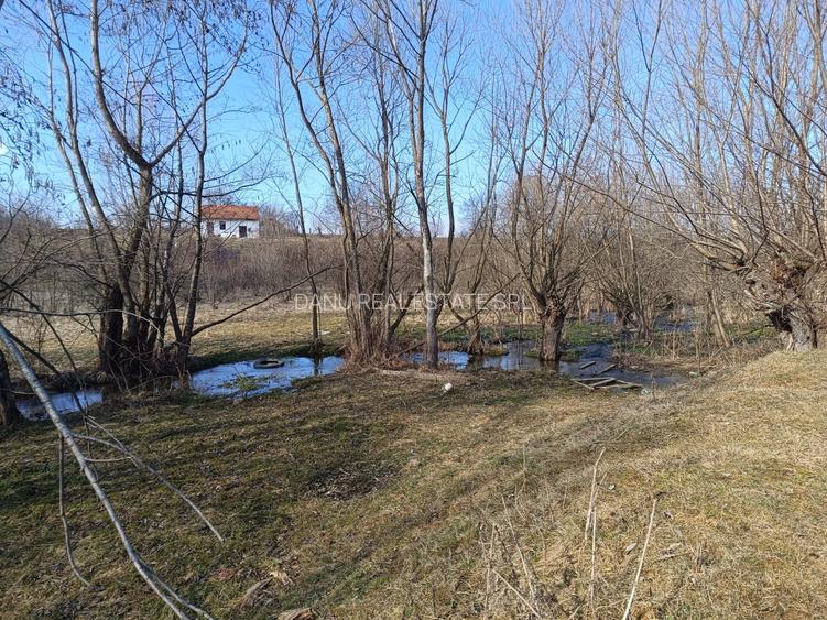 Comision0-Bran Sohodol vedere spre Piatra Craiului Teren intravilan 5967mp+bonus - 3