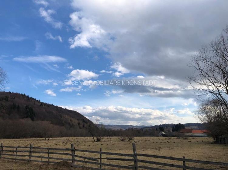 Oportunitate de investitie - 4