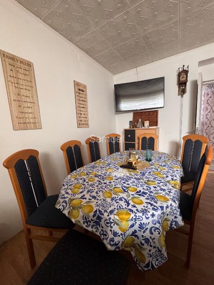 Casa in localitatea Lovrin - 16