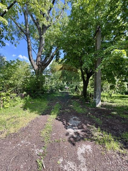 DOMENIU EXCLUSIVIST DE VANZARE – URLATI, PRAHOVA - 4