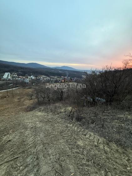 Teren Intravilant cu un Formidabil View /Priveliște a întregului oraș Zalău  - 5