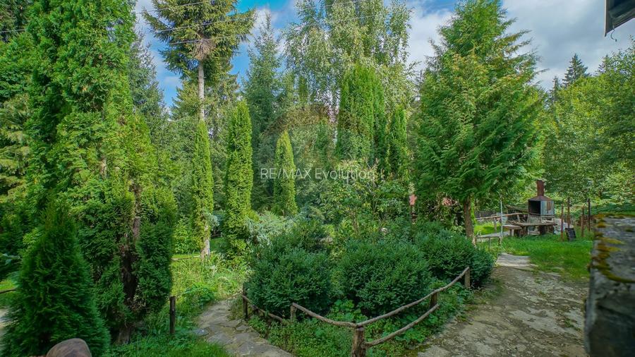 COMPLEX HOTELIER POTENTIAL EXTINDERE | PREDEAL CIOPLEA | 2734 MP TEREN - 20