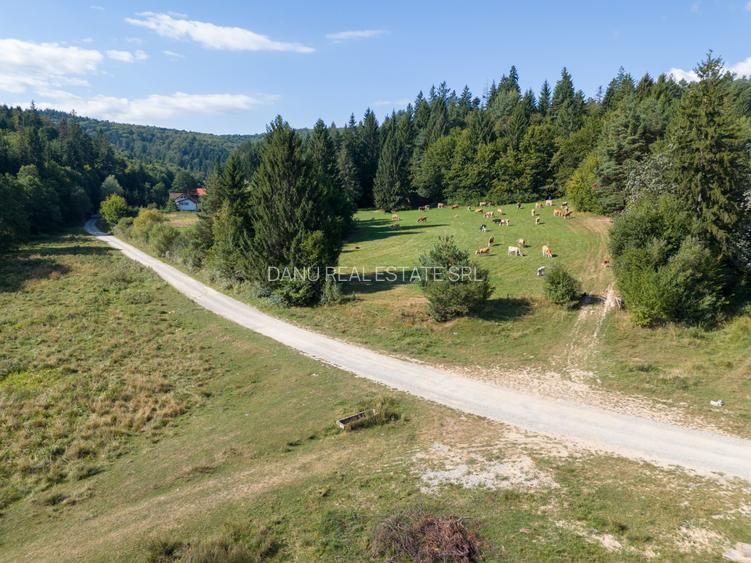 Investitie premium in turism-teren 6800mp langa lacuri Vulcan Brasov - 19