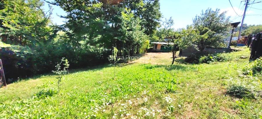 Teren 532 MP si Anexe de Vanzare * Poiana Campina* - 5