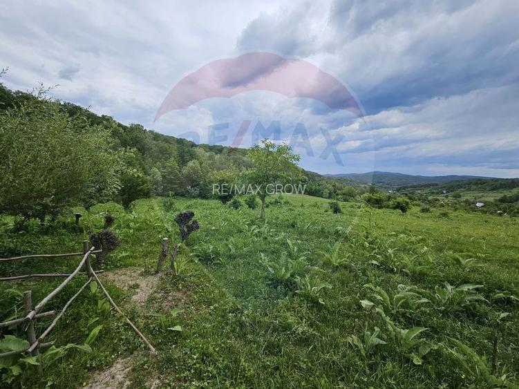 Teren 11,935mp Margineni / Strada Dubas - 2