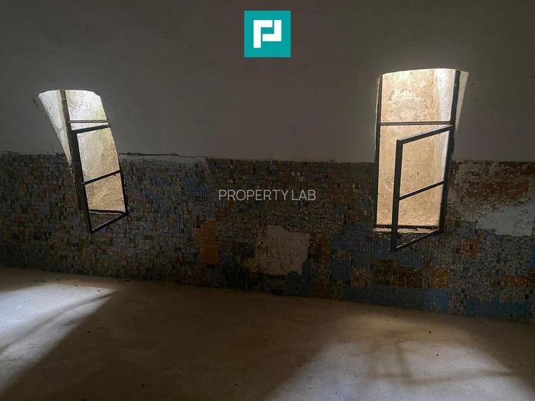 Conac nobiliar de secol XIX cu 8 camere în Maciova - 22