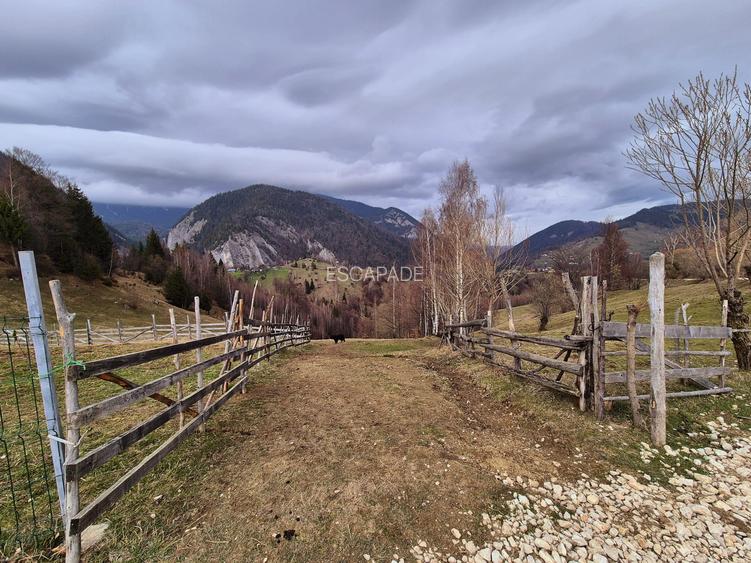 Teren cu energie speciala, Pestera/ 13570mp extravilan/Comision 0 % - 9