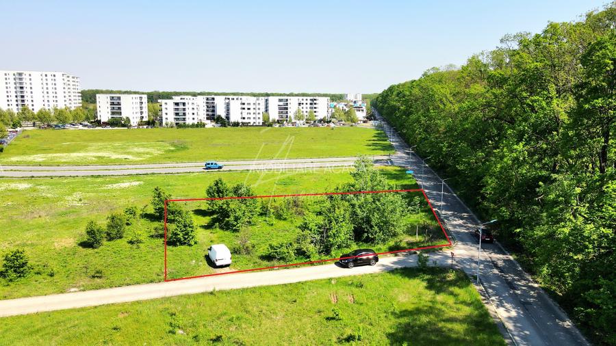 Teren intravilan, 2 fronturi, Drumul Padurea Pustnicu 65 - Greenfield - 3