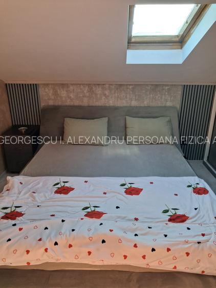 Parc Carol 3 Camere Mansarda - 9