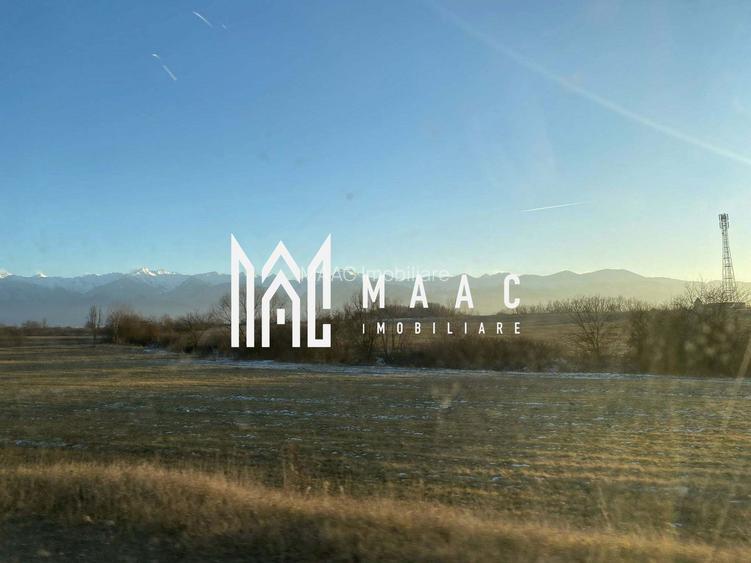 O minune la munte I Casei de la Marginea Satului - 5