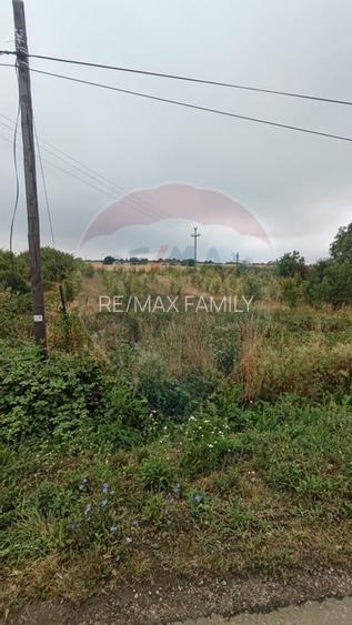 Teren 2.341 mp Uileacu de Munte front 26 ml la drum asfaltat - 16