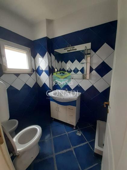 De inchiriat Hala C1 - zona DNCB Clinceni - 5