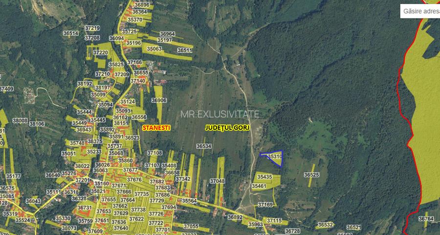 Teren extravilan de vânzare – Stănești, 3.861 mp, livadă de cireși - 6