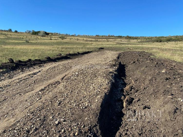 Parcele de teren în Câmpenești – oportunitate de investiție! - 3