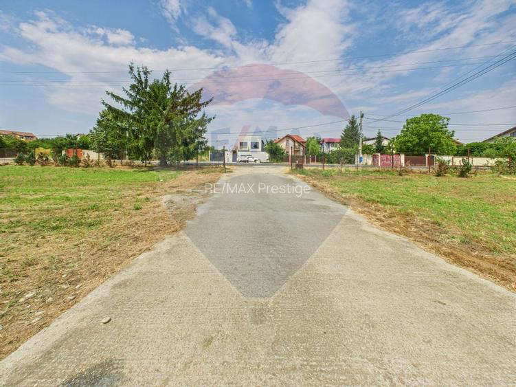 Proprietate speciala Dragomiresti Deal -Teren 15000 mp - 38